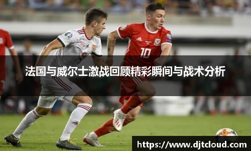 智博19